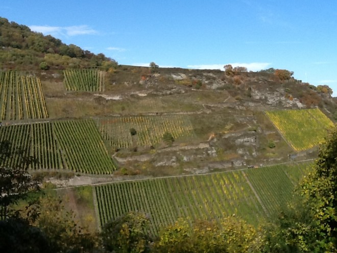 loreley, stadtmauer, burg 103