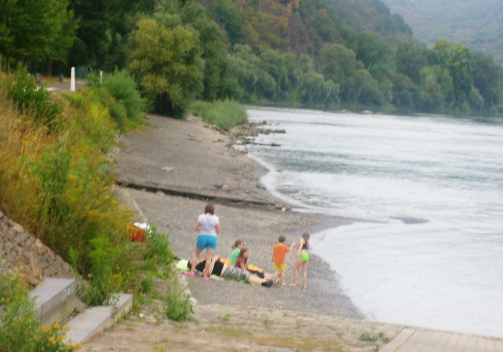 hallo Schwimmer: der Rhein ist nicht die stille Adria !